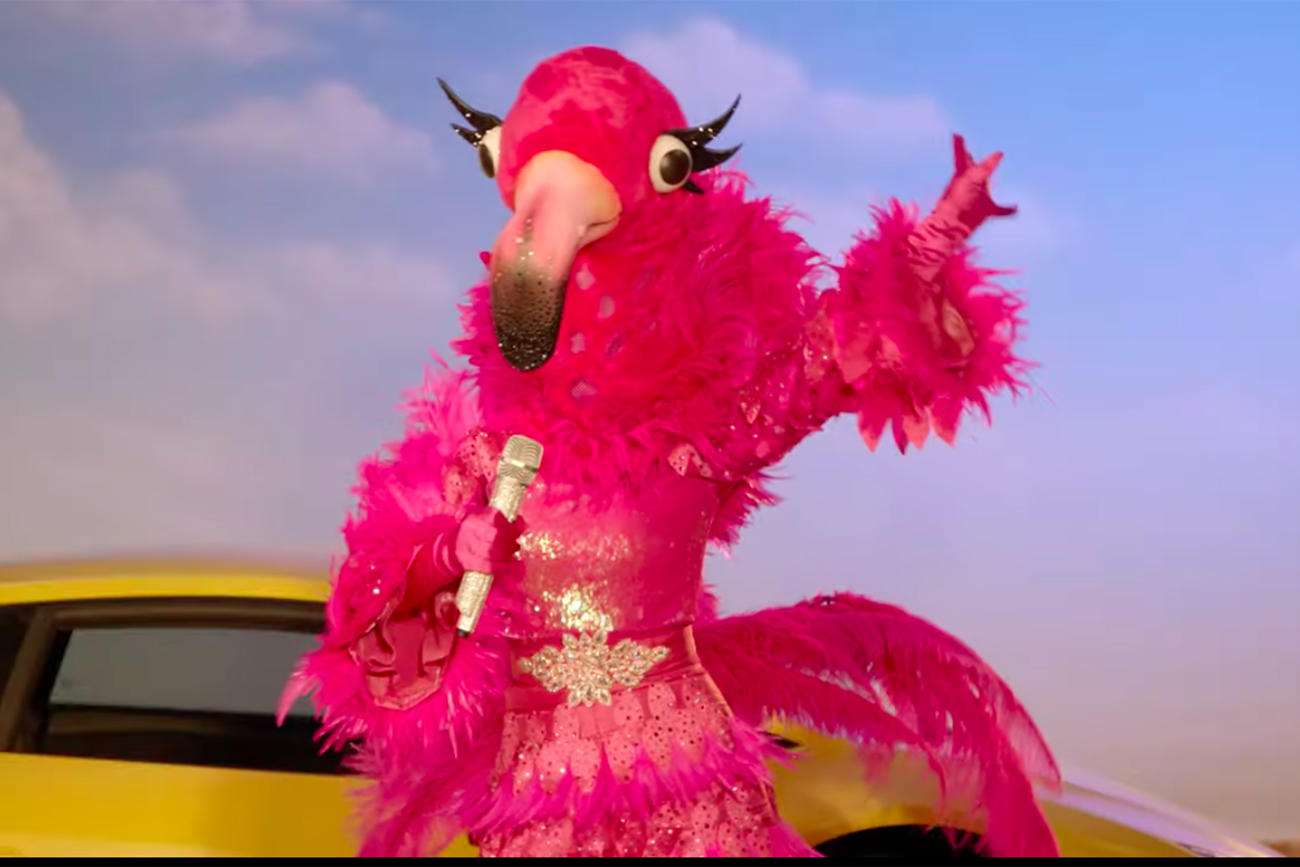 The Masked Singer 'The Masked Singer' 'Panda' Celebrity Revealed
